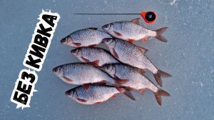 Крупная плотва без кивка - безмотылка ру