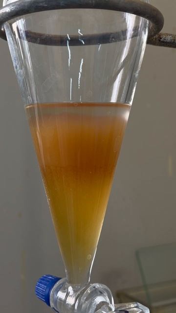 Испытания устриц. (il-mskts.ru) — Дата Размещения — 18.04.2026