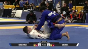 Blackbelt Finals - 2026 Pan Jiu Jitsu IBJJF Championship