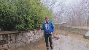 Крымский можжевельник и погода