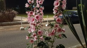 ПУСТЬ МИЛОСТЬ БОЖИЯ БУДЕТ СО ВСЕМИ ВАМИ! С ДОБРЫМ УТРОМ!!!