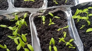 Домашний хлеб это вкусно