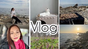 Пикник у моря весной /А так все хорошо начиналось! #джубга ##чистяковскаяроща