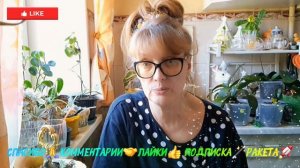 🖋️🚀МАРАЗМ КРЕПЧАЕТ,ВПАДАЮ В ДЕТСТВО 💃🔥МОИ БУДНИ 🖋️🚀
