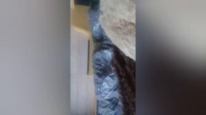 YouCut_20260330_150748831.mp4