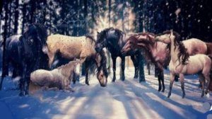 Весенний фотосет🌠🐾