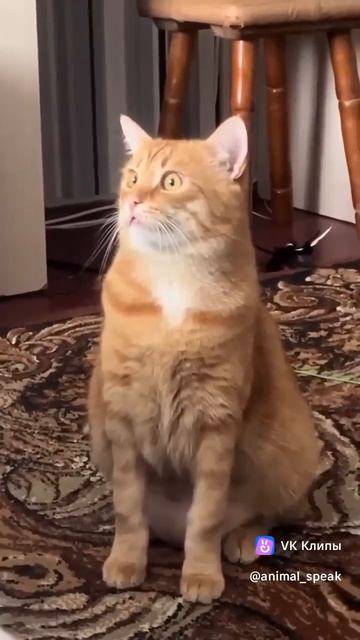 У вас так же?