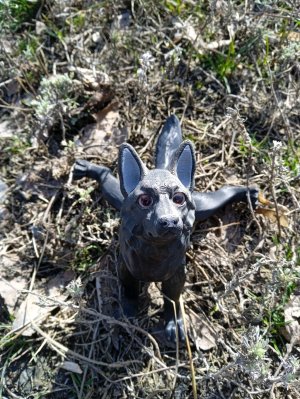 трансляция 🎀♥️