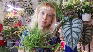 Весенний влог: пересаживаю, переукореняю, отделяю деток