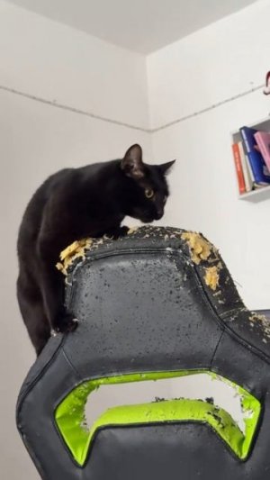 Дизайнер за работой