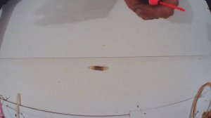 ЭТА СНАСТЬ ЛОВИТ БОЛЬШЕ РЫБЫ! Поплавочный монтаж с КОРМУШКОЙ для УДОЧКИ