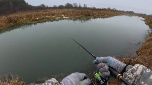 СКОЛЬКО РЫБЫ В ТАКОЙ МАЛЕНЬКОЙ РЕЧКЕ! РЫБАЛКА НА СПИННИНГ