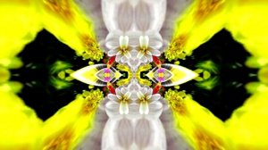 Футажи! Футаж Очаровательные фантастические пейзажи 6!