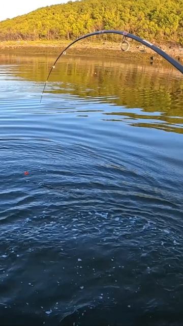 АДРЕНАЛИН НА ТАКОЙ РЫБАЛКЕ ЗАШКАЛИВАЕТ