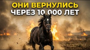 ВЫМЕРЛИ на родине и вернулись: загадка лошадей Америки