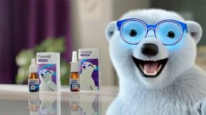 хуййййййййййййй