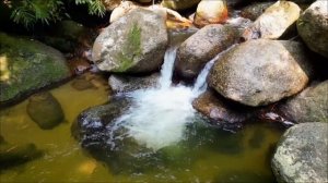 Сожгите лавровый лист вечером 1 апреля. И долги исчезнут.