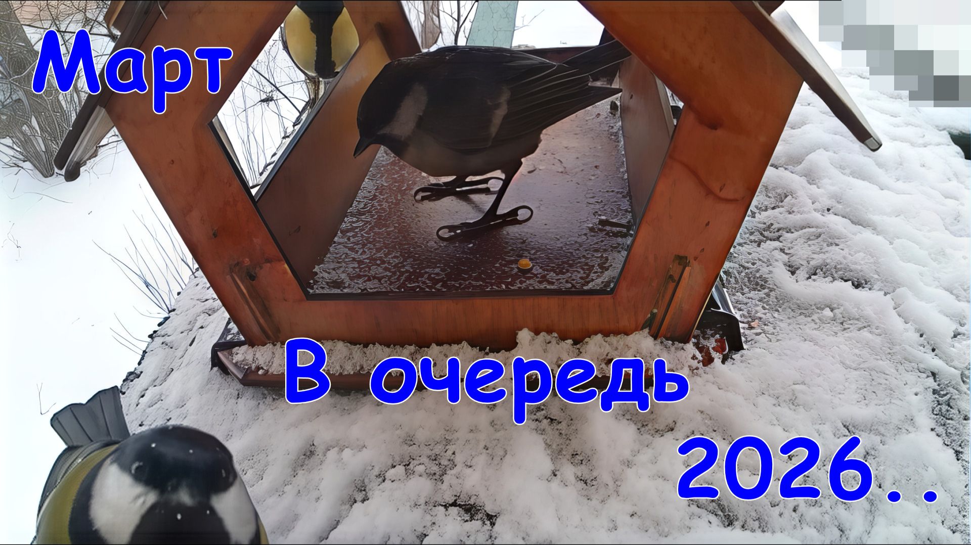 В очередь 2026 (март)