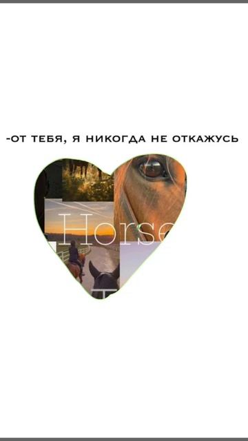 ✨🥑🐎 смотреть онлайн