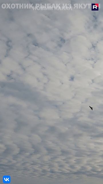 ОХОТА НА ГУСЯ НА КОЛЫМЕ