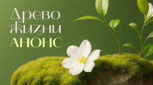 Анонс | Древо жизни