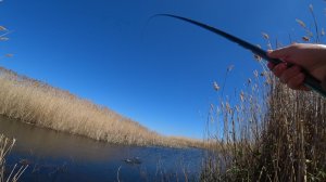 Ловля карася на маховую удочку. Рыбалка из детства!