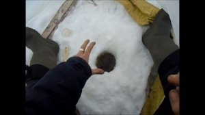 Как уйти от нуля и наловить рыбы на зимней рыбалке