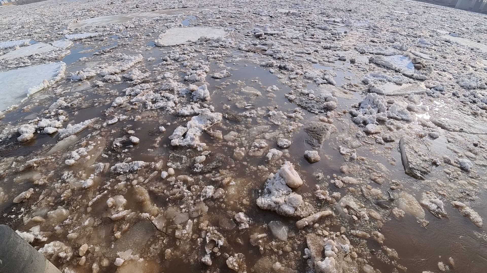 Ледоход на Белой