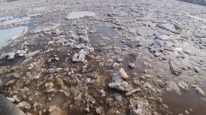 Ледоход на Белой