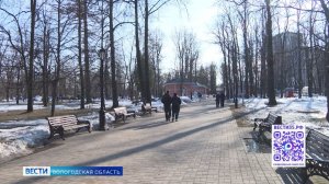День прогулок по парку отмечают в Вологодской области
