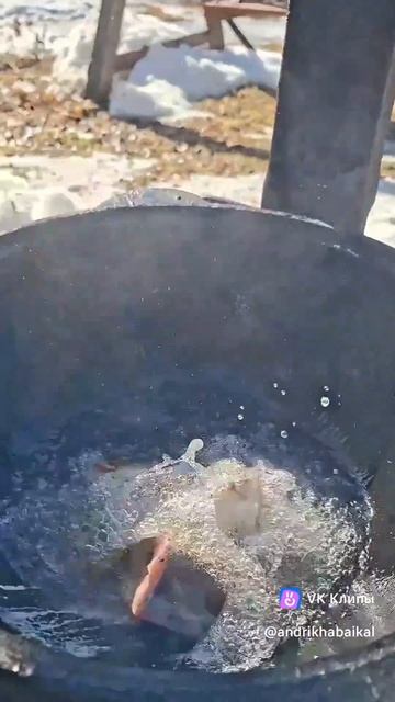 жареная рыба / ленок #рыбанаужин