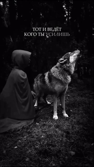 Внутри нас всегда есть два голоса.