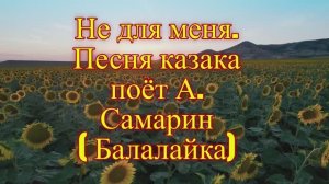 Не для меня. Песня Донского казака, поёт Александр Самарин на Бабушкиной балалайке