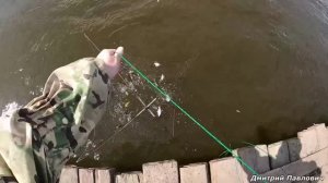Забросил паук и снова удача. Рыба на каждом забросе. Рыбалка на паук.