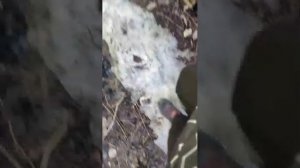 прятки на улице 2часть