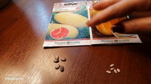 Арбузы и Дыни. Посев семян на рассаду. Скарификация семян