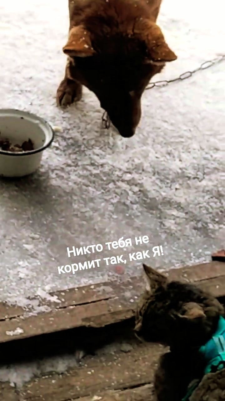 Ешь, друг! Жена, так не накормит!🤣  30-03-2026