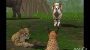 Мини фильм WildCraft "Египетский воин" 2 сезон 2 серия