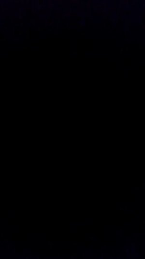 ТИГРЫ ТОЛЬКО ИГРЫ (трансляция)