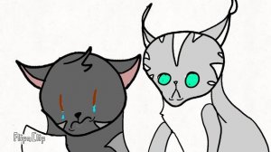 🤣😂🤣Прикол. Теперь поймите как это работает… ( 2 кот- Теневой Свет)