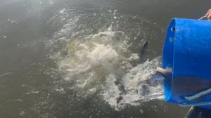 copy_D39F62C3-B8CC-4512-AC58-FE3E5EE3B77F