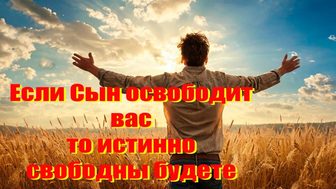 Если Сын освободит вас, то истинно свободны будете