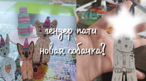 гендер пати?🩷💙