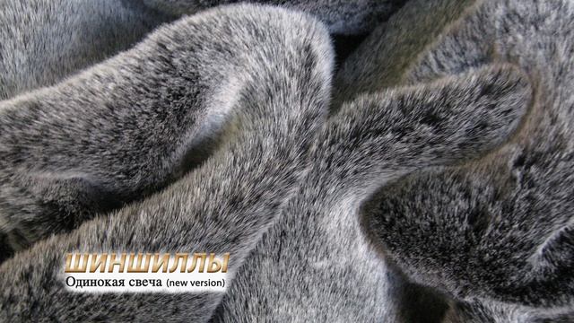 Шиншиллы — Одинокая свеча (new version) (Audio)