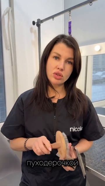 для записи звоните +7 911 081 4252 🐾