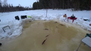 ЧАСТЬ 2 ЭТО ЕТЫПУР! И НАЕЛИСЬ И НАПИЛИСЬ И ПОРЫБАЧИЛИ ОТ ДУШИ) ВСЕ БЫЛО ПРЕКРАСНО!