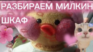 РАЗБИРАЕМ МИЛКИН ШКАФ...✨