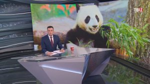 Собянин: В Московском зоопарке живут около 15,7 тыс. представителей фауны