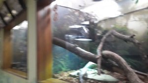 я в зоопарке!!!🐎🐫🐢