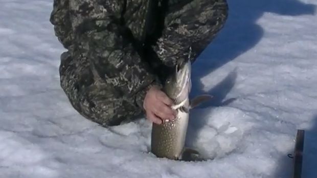 Весенняя рыбалка с сыном с ночёвкой по последнему льду!